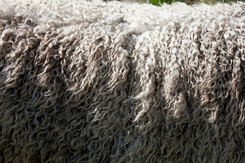 How Allbirds Built a Billion-Dollar Sustainable Shoe Brand