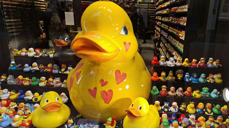 The Rise and Fall of Toys R Us: A Company Profile