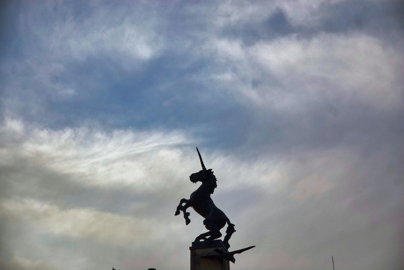 What Is a Unicorn Startup? Explained With Examples